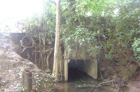 Twakube Women’s Club